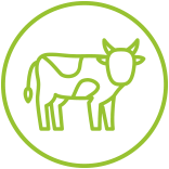 icon_beef