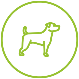 icon_pet
