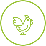 icon_poultry